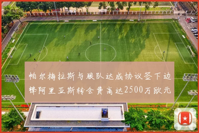 帕尔梅拉斯与狼队达成协议签下边锋阿里亚斯转会费高达2500万欧元